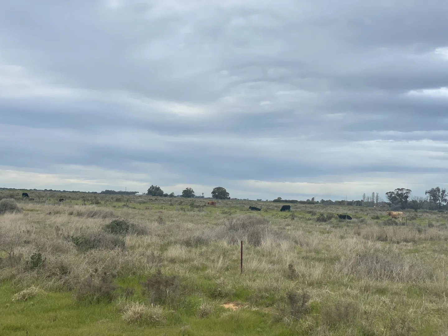 Additional image 22 of 'Yileen' 4371 Moulamein Road, Tullakool NSW 2732