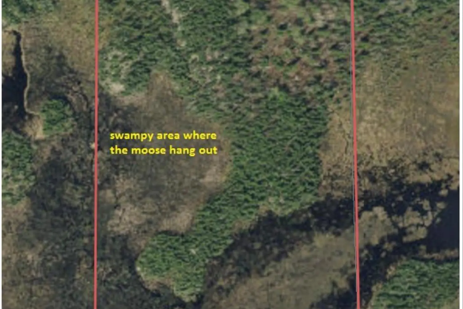 Additional image 3 of Pcl1507 N/A
