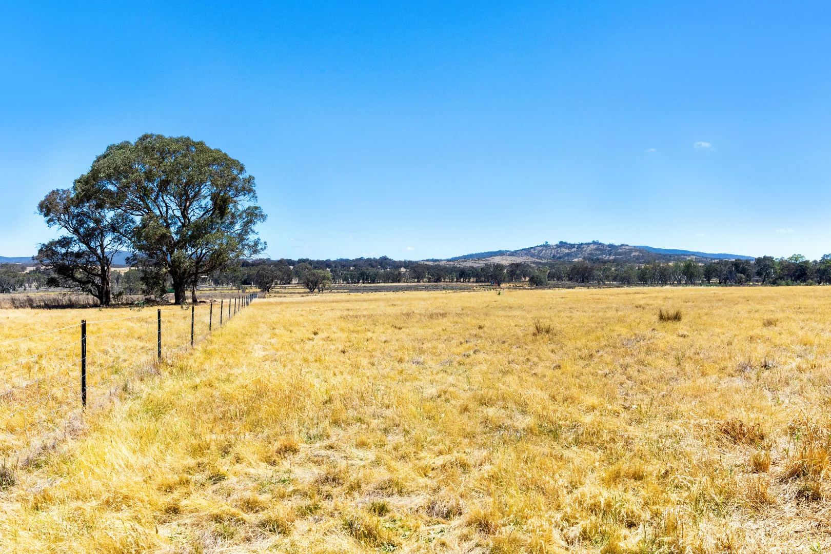 Additional image 8 of Taltarni Road, Moonambel VIC 3478