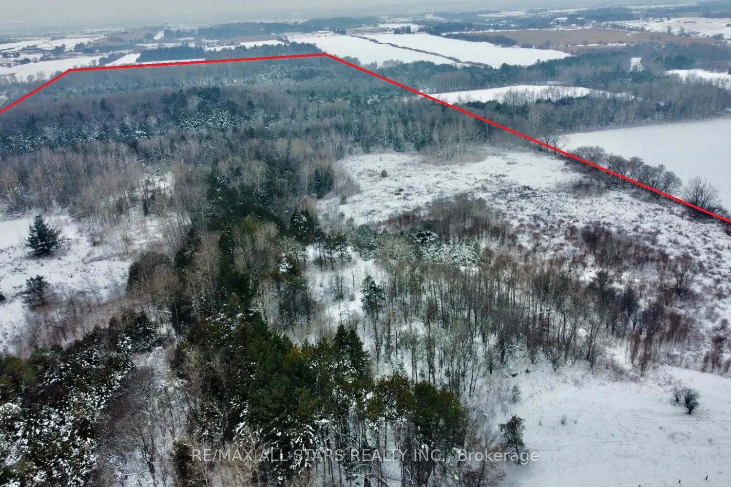 Additional image 7 of 15672 Warden Avenue