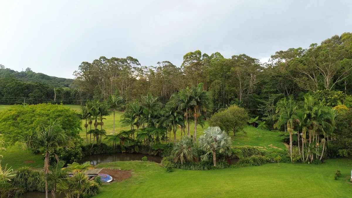 Additional image 26 of 517 Friday Hut Road, Brooklet NSW 2479