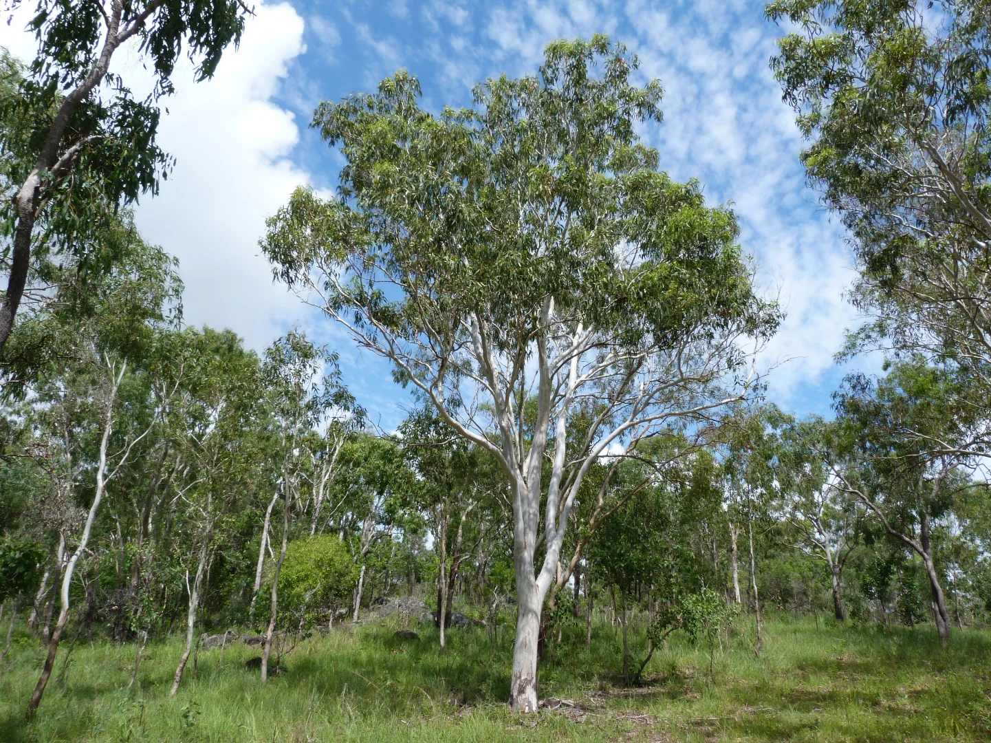 Additional image 10 of Notch Point Road, Ilbilbie QLD 4738