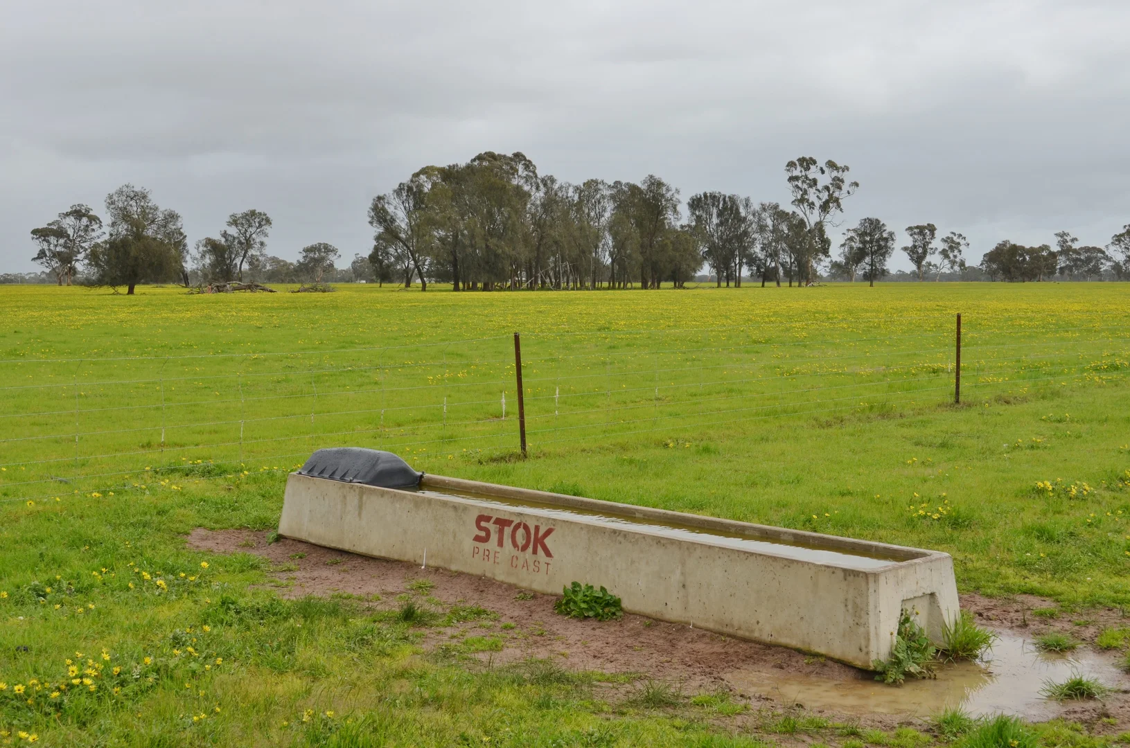 Additional image 19 of 260 Burns Munn Road, Edenhope VIC 3318