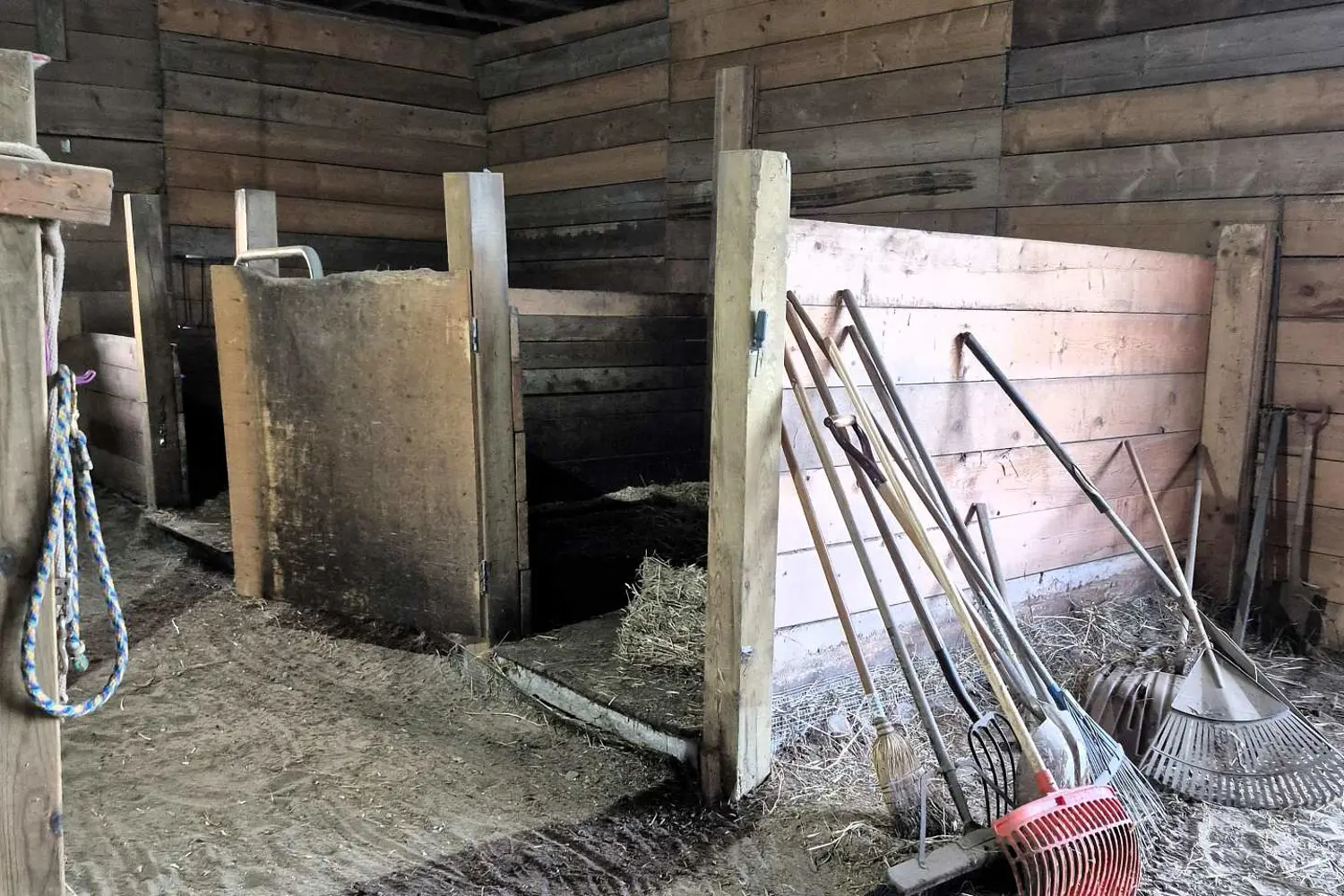 Additional image 6 of 1319 Windham Centre Road 9 Road