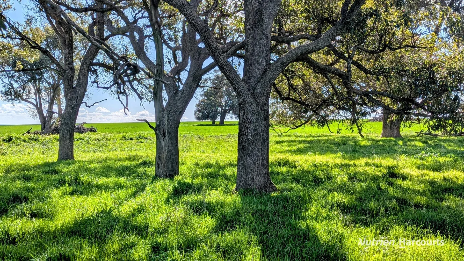 Additional image 2 of 5428 Brand Highway, Boonanarring, Gingin WA 6503