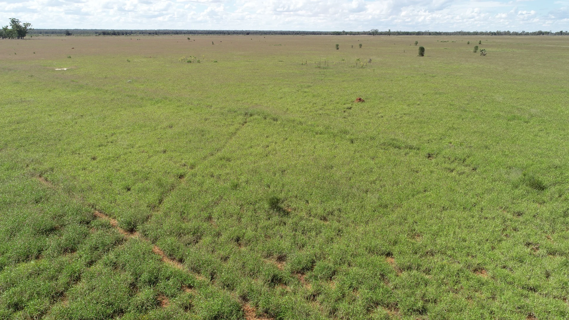 Additional image 10 of 'Ula Ula' 210 Ula Ula Road, St George QLD 4487