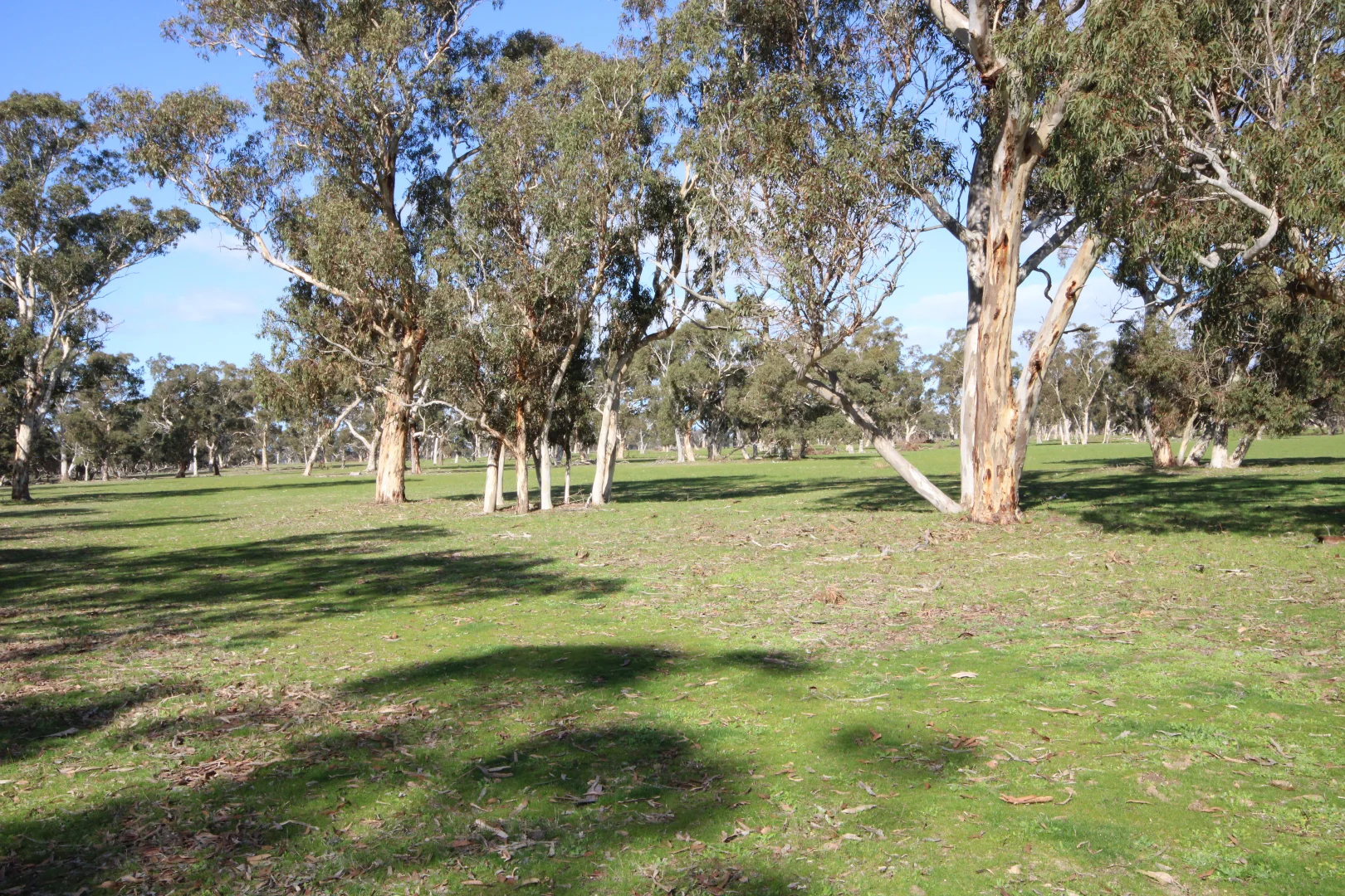 Additional image 19 of 202 Malones Road, Naracoorte SA 5271