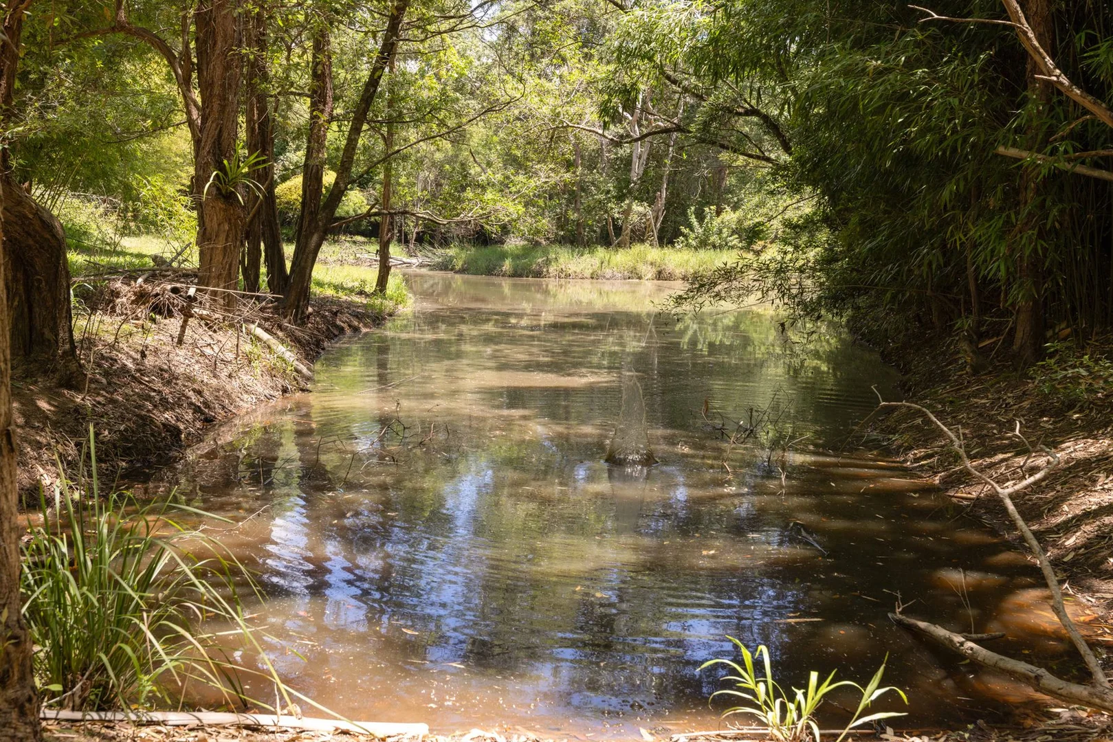 Additional image 16 of 1171 Eumundi - Kenilworth Road, Belli Park QLD 4562
