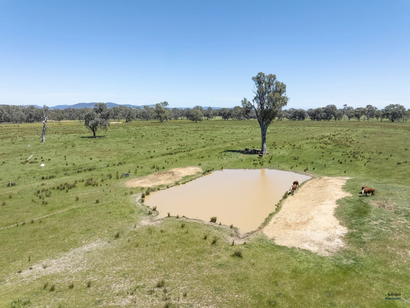 Additional image 12 of 12 Knight Road, Benalla VIC 3672