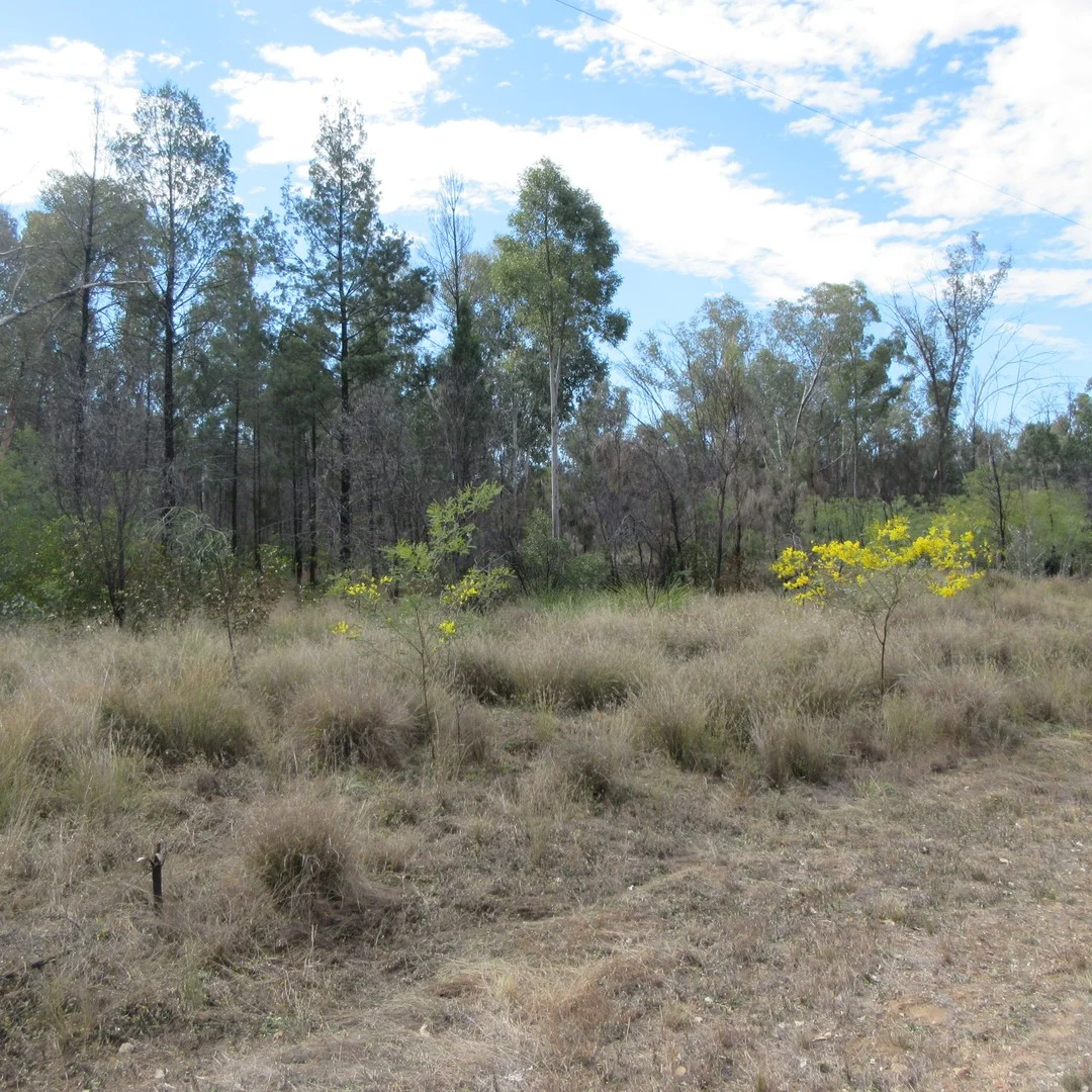 Additional image 2 of 1 Timothy Road, Tara QLD 4421