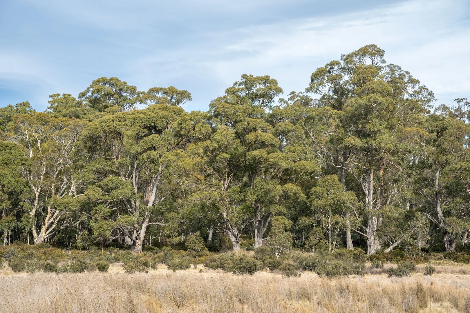 Additional image 11 of 1 & 2/172 Woodwards Bay Road, Bradys Lake TAS 7140