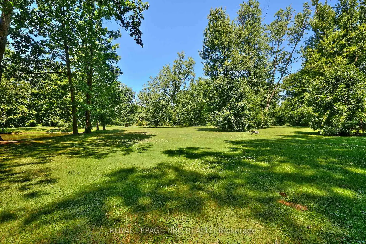 Additional image 11 of 1171 Mcnab Road