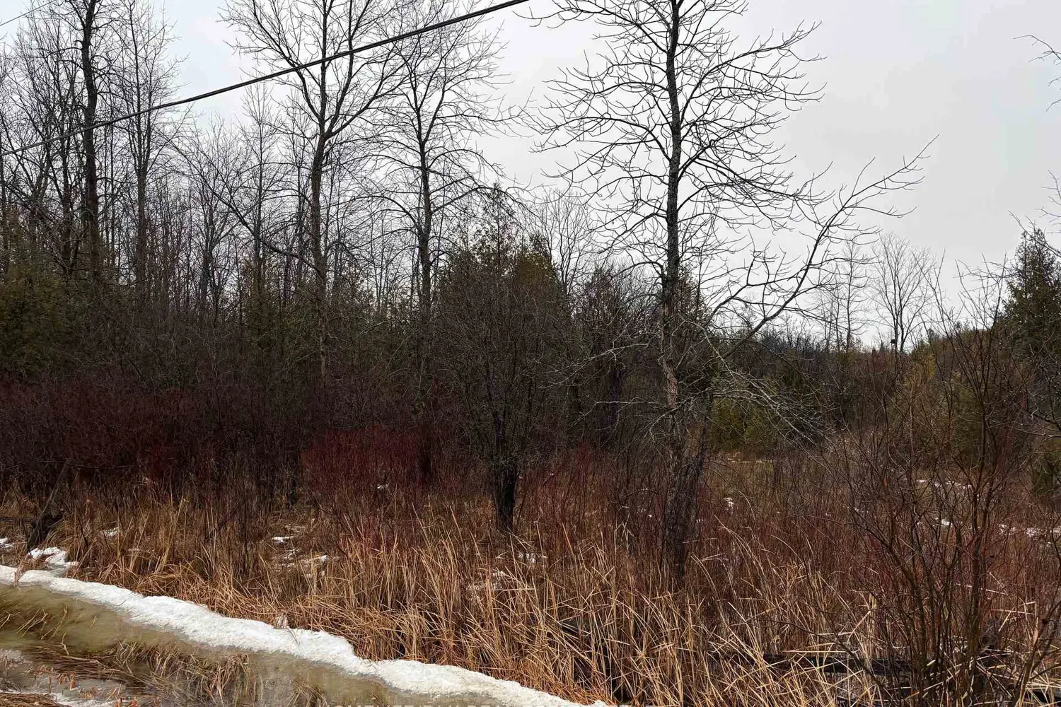 Additional image 2 of 0 6Th Concession Road