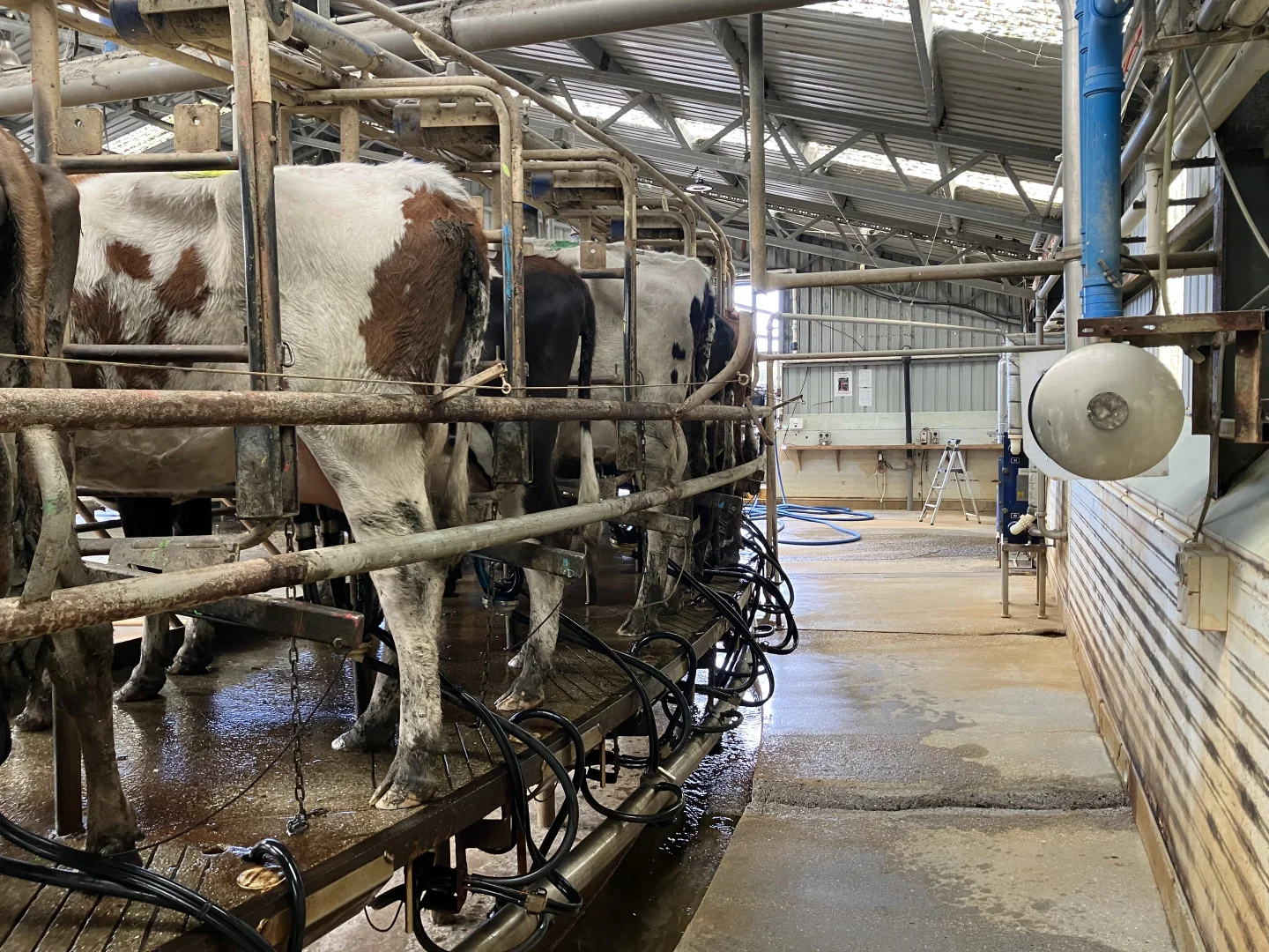 Additional image 14 of 301 Woolnorth Road, Woolnorth TAS 7330