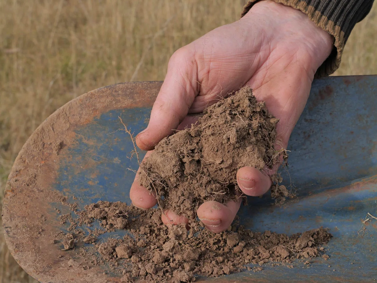 Additional image 4 of 3 Union Bridge Road, Mole Creek TAS 7304