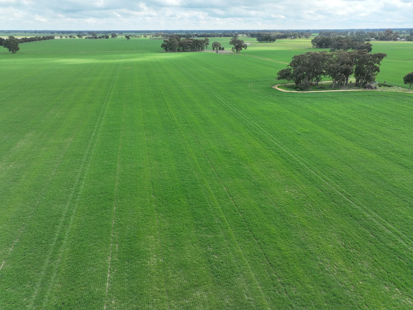 Additional image 3 of 0 Labuan Road, Numurkah VIC 3636