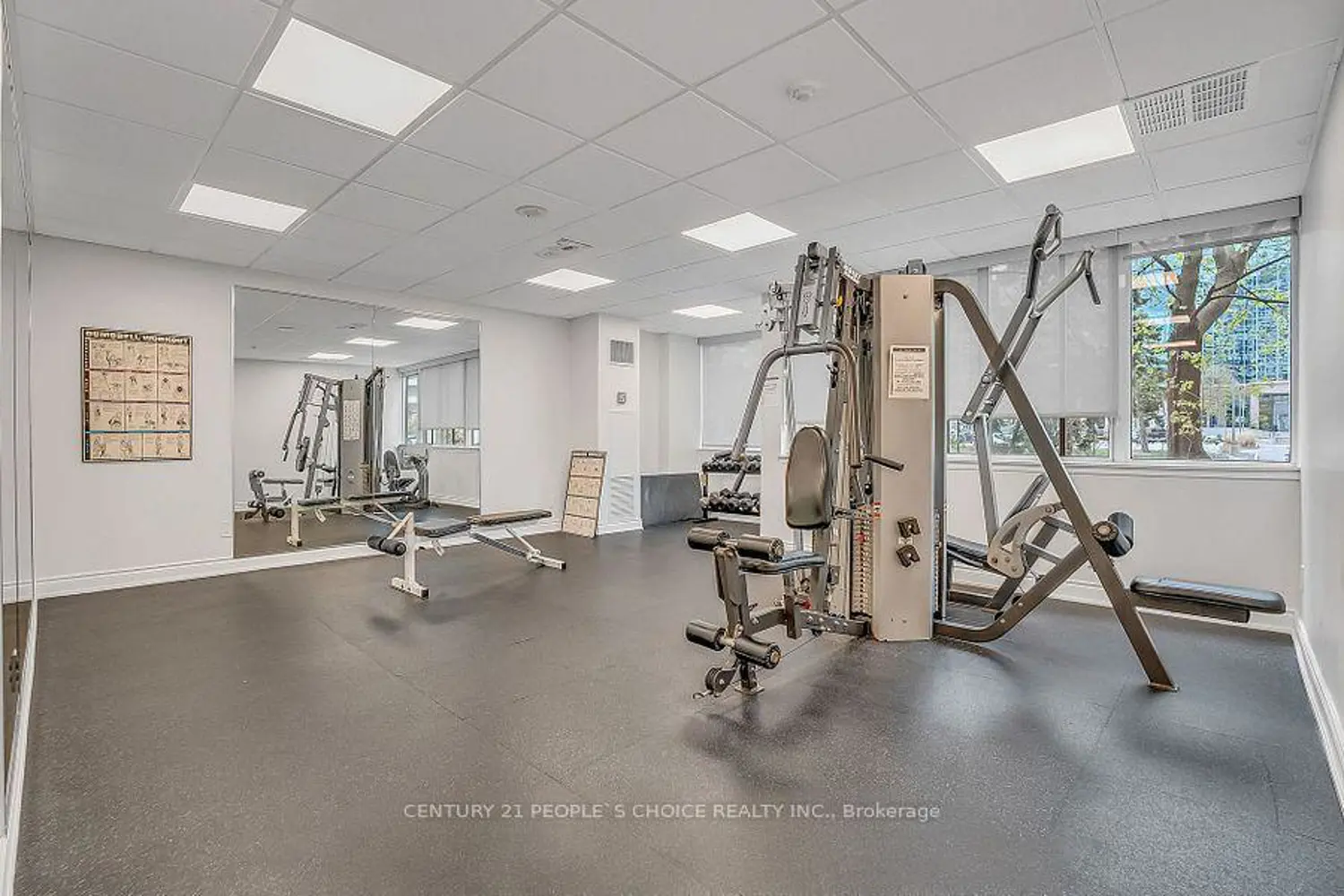 Additional image 16 of 350 Webb Drive 2010