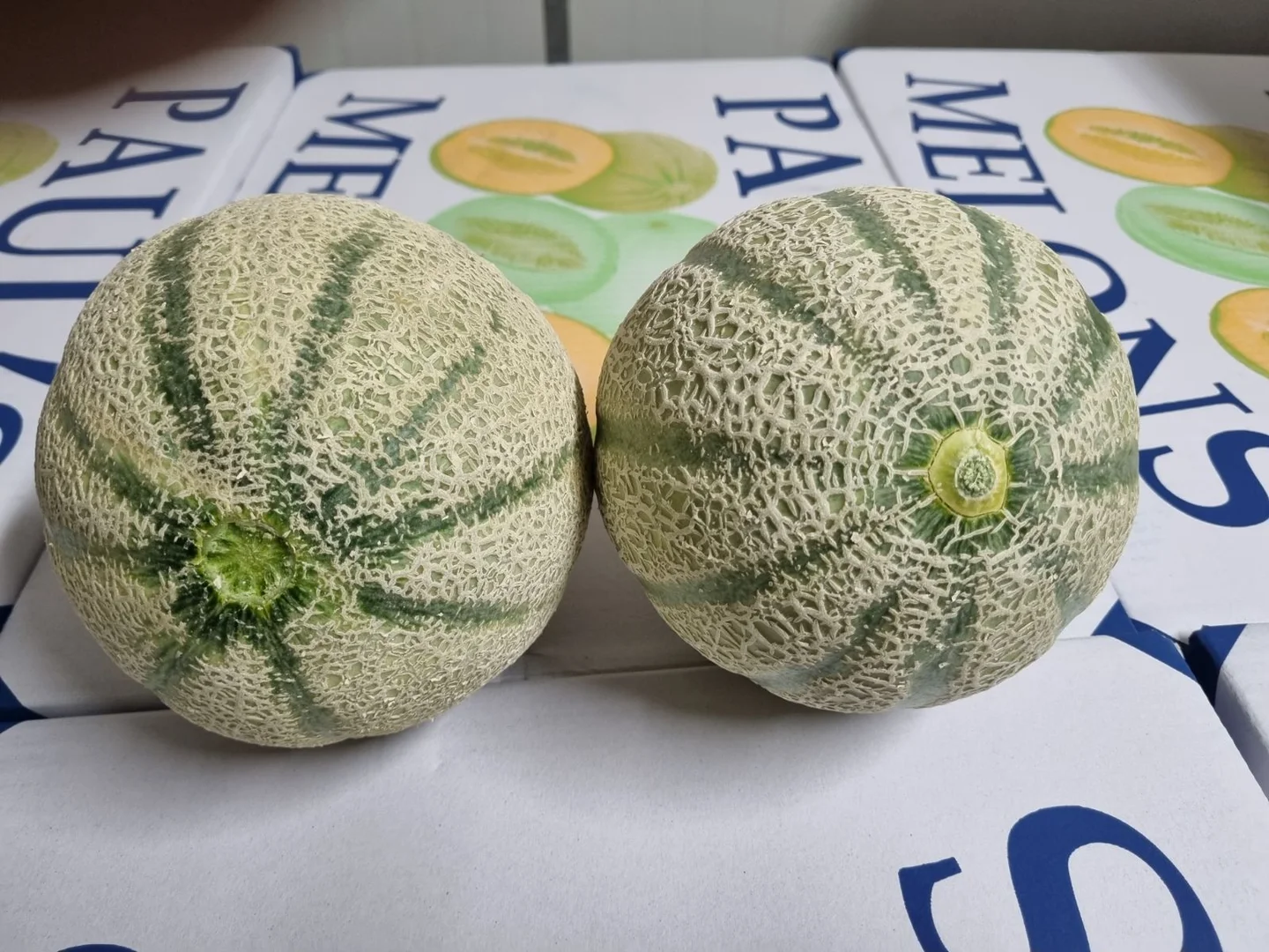 Additional image 7 of 138 North River Road, North Plantations WA 6701