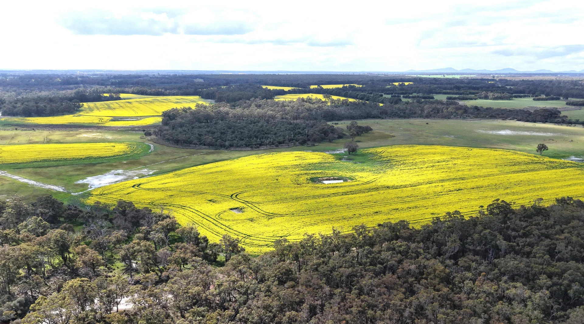 Additional image 15 of 171 Kwornicup Road, Forest Hill WA 6324