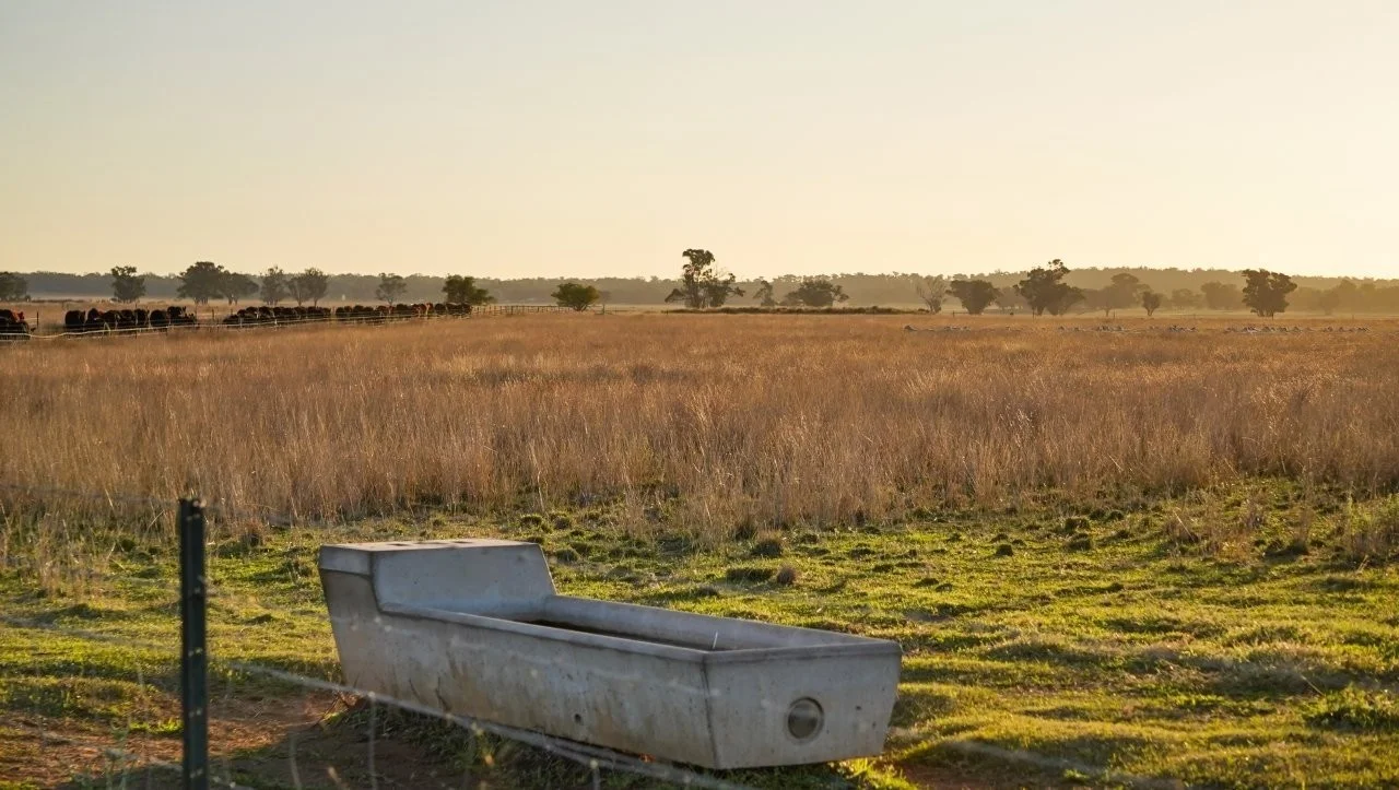 Additional image 8 of 3761 Neilrex Road, Neilrex NSW 2831