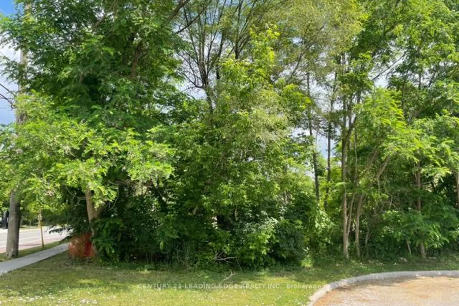 Additional image 8 of 49 Main St. South