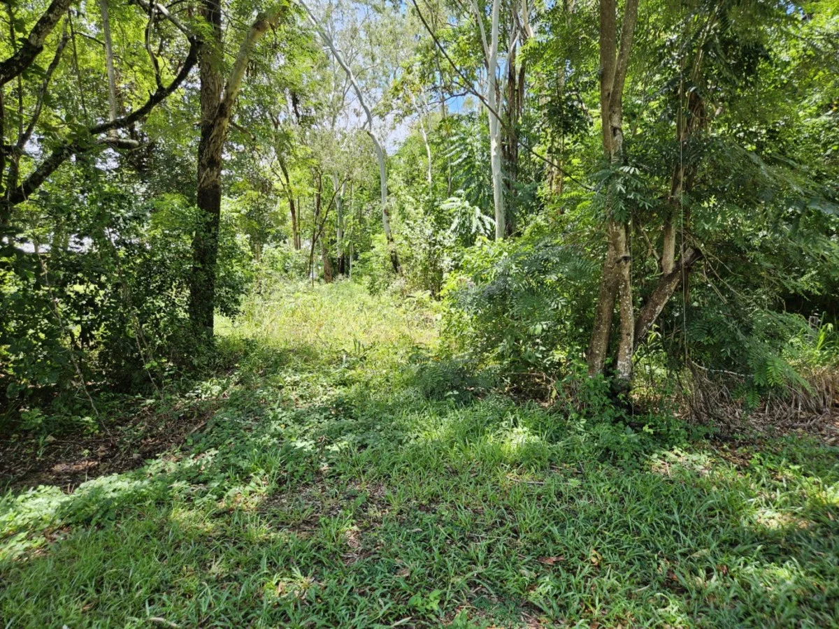 Additional image 3 of 16 Forrest Drive, Forrest Beach QLD 4850