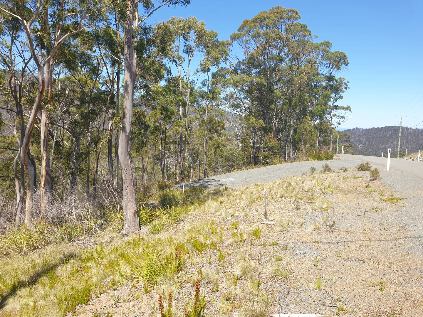 Additional image 7 of Lot 9 Bull Oak Way, Grove TAS 7109