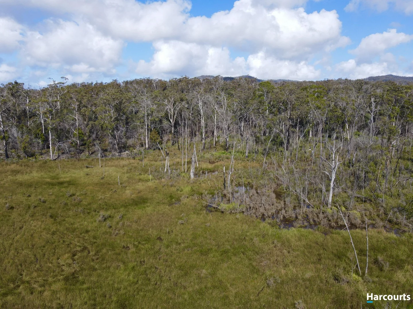 Additional image 4 of 311 Medeas Cove Road, St Helens TAS 7216