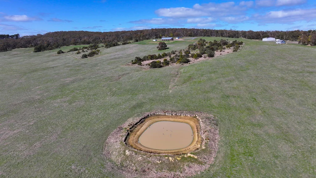 Additional image 30 of 99 Bibbys Lane, Garibaldi VIC 3352