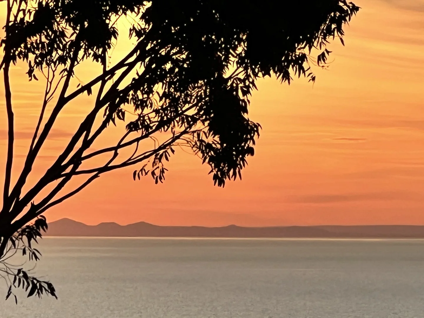 Additional image 2 of 66 Ian Road, Mount Martha VIC 3934