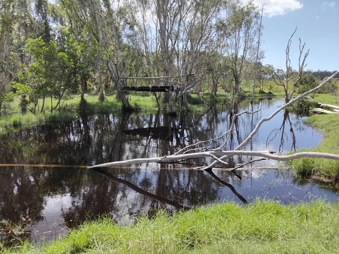 Additional image 24 of 25 Findling Road, Boyne Island QLD 4680