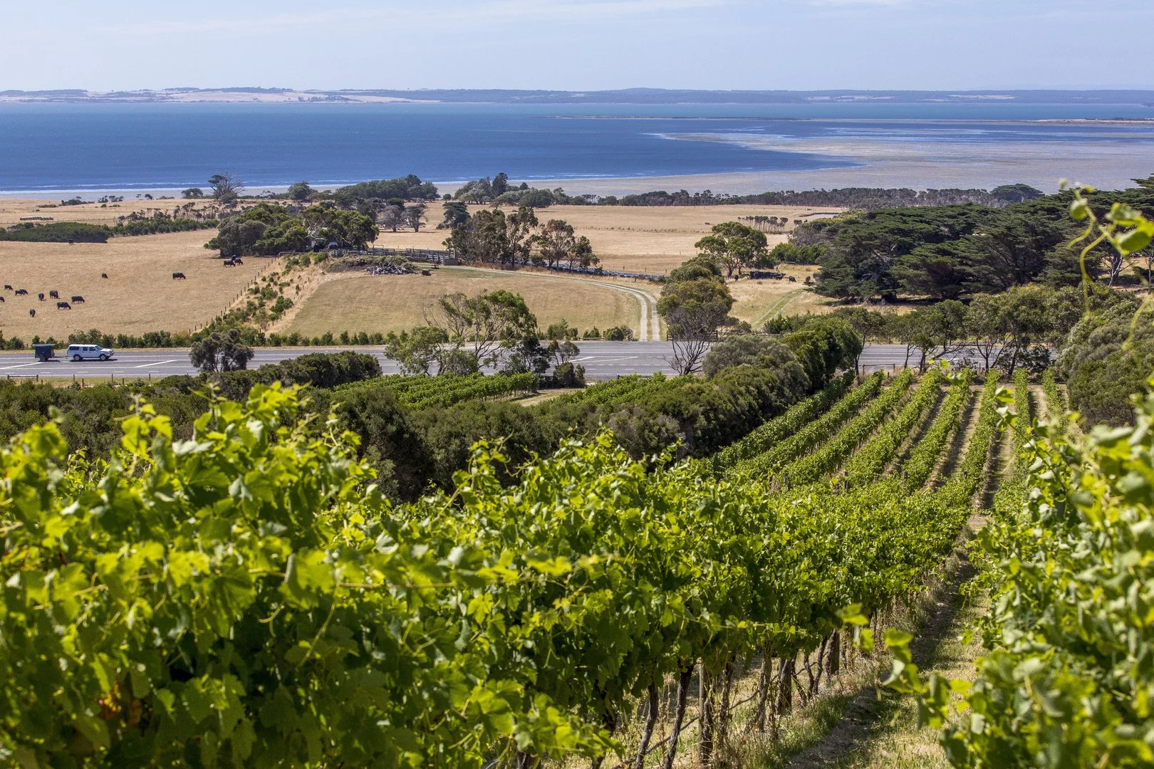 215 Phillip Island Road, San Remo VIC 3925