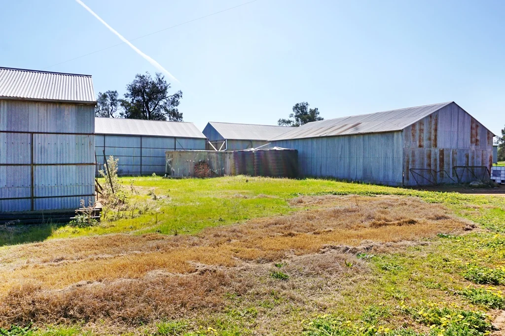 Additional image 9 of 594 Burrangong Lane, Bland NSW 2721