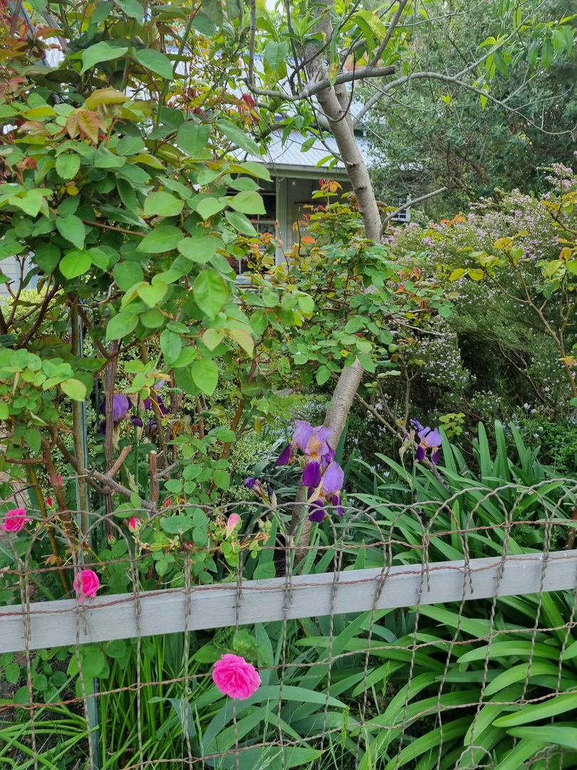 Additional image 10 of 9 Fraser Street, Clunes VIC 3370