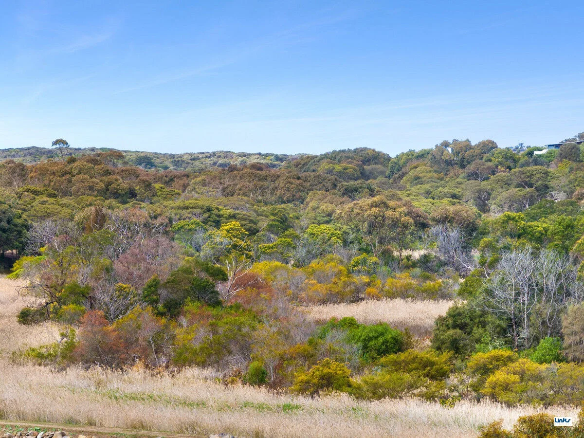 24 Yateman Boulevard, Torquay VIC 3228