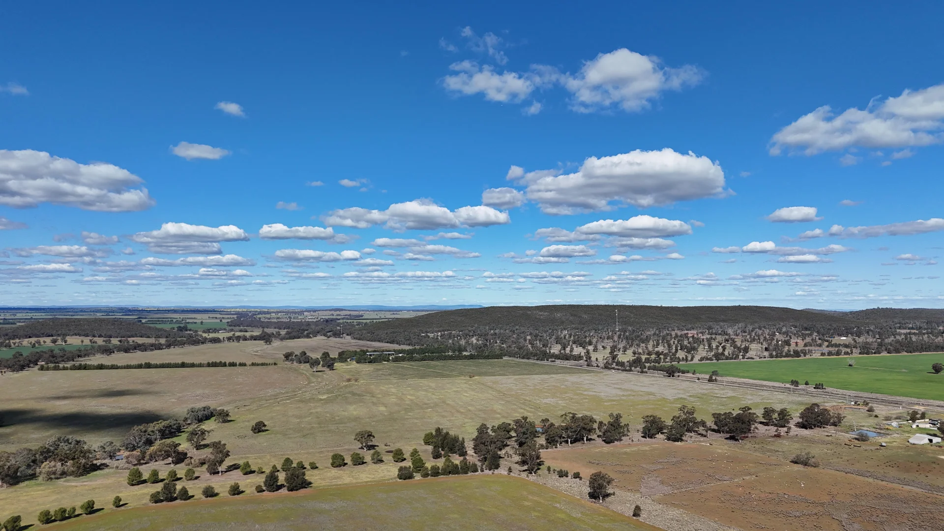 Additional image 53 of 3544 Henry Parkes Way, Bogan Gate NSW 2876