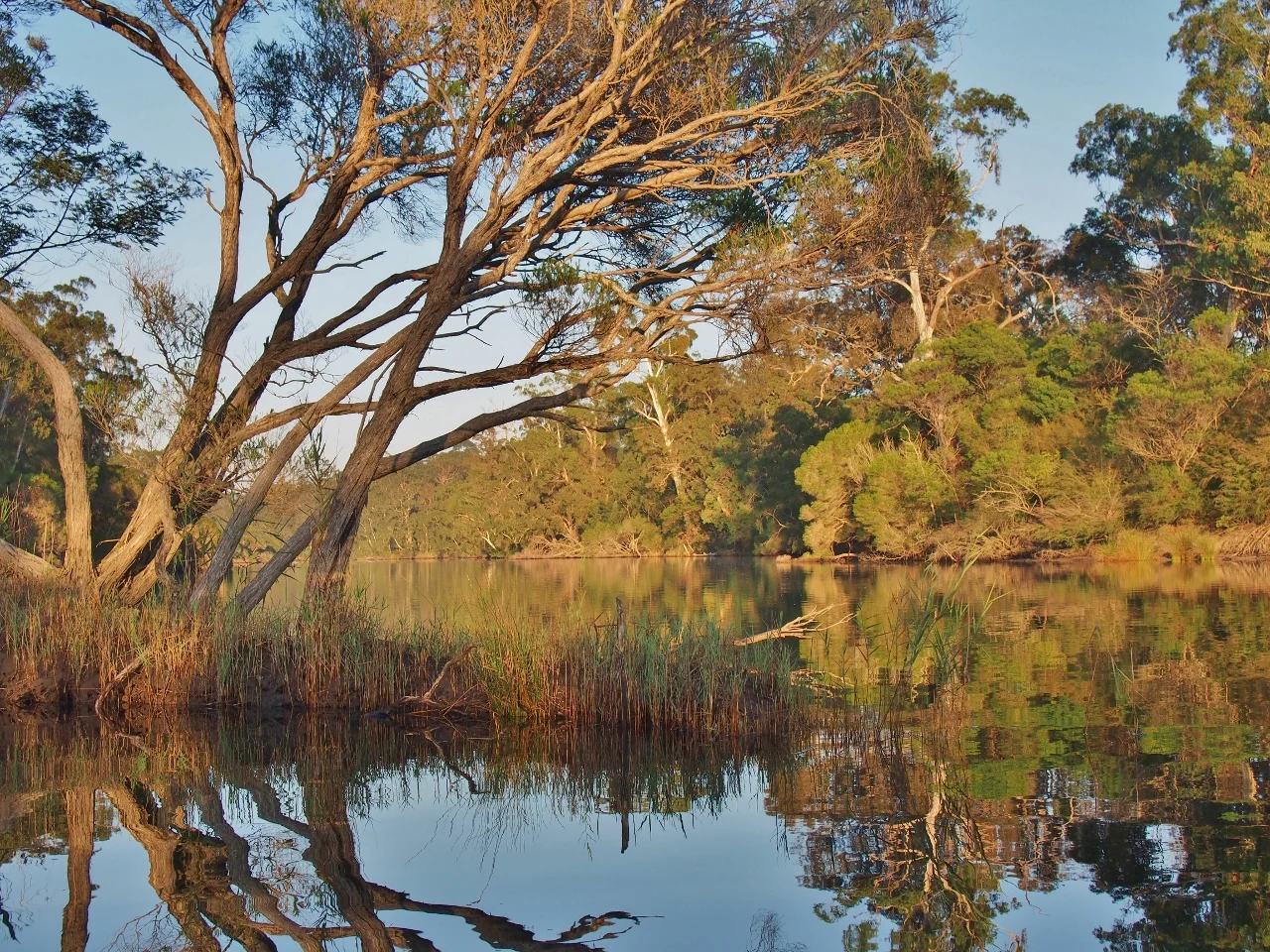 Additional image 28 of 59B Burgess Track, Wallagaraugh, Genoa VIC 3891
