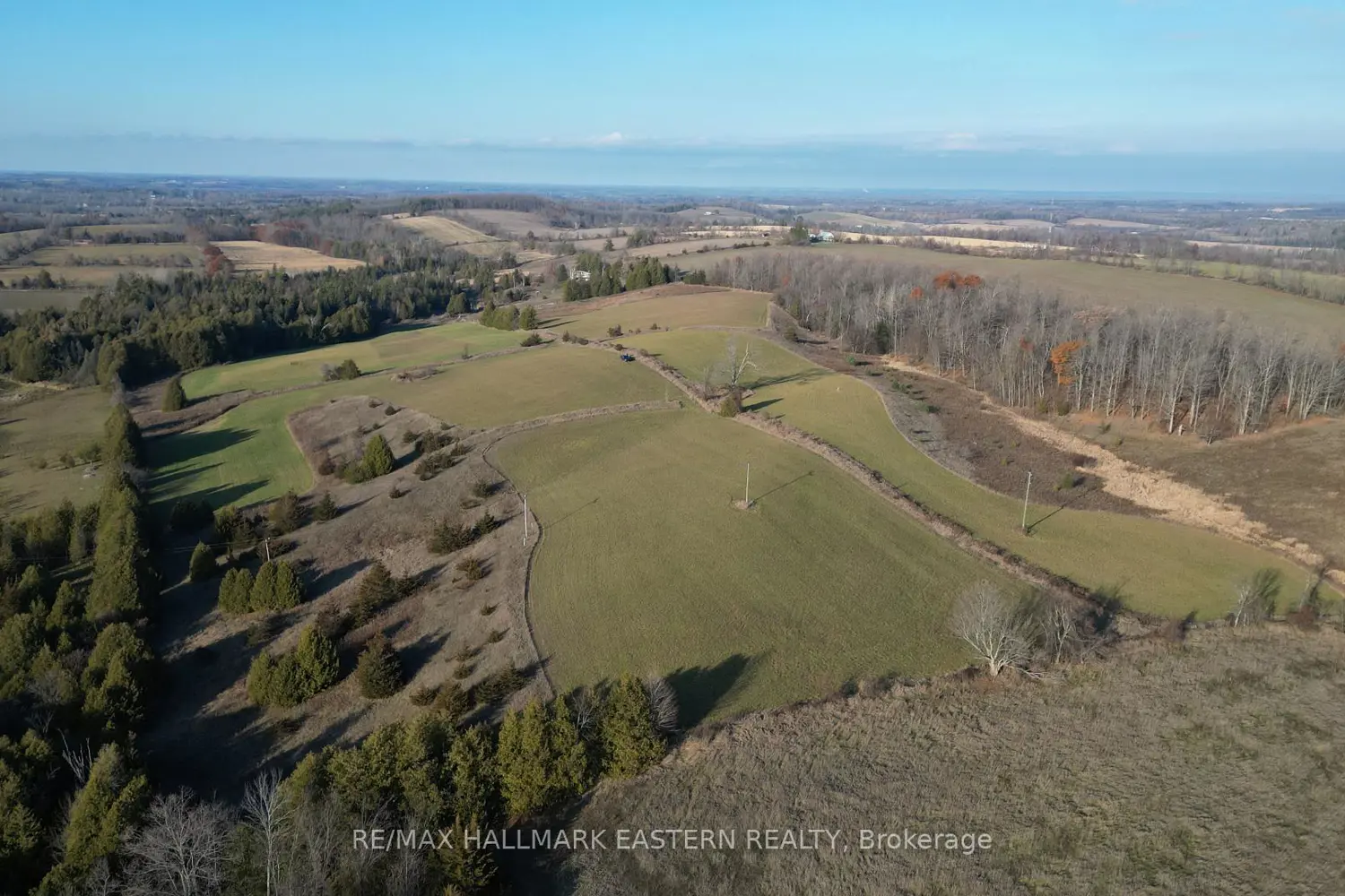 Additional image 8 of 461 Concession 11