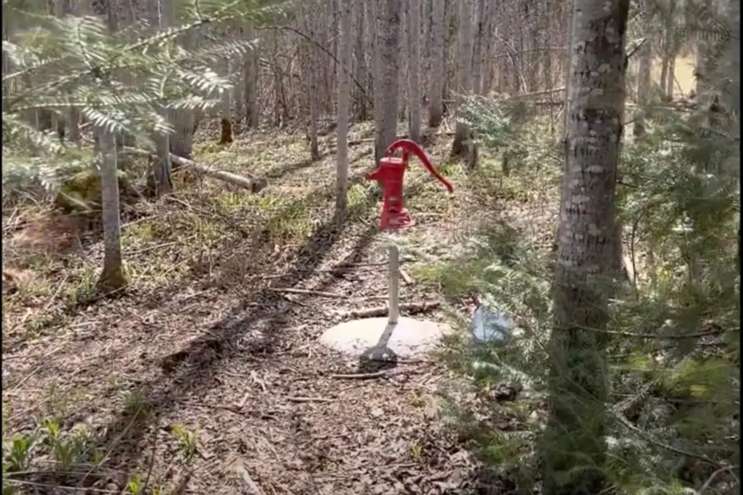 Additional image 19 of Pcl3840 N/A