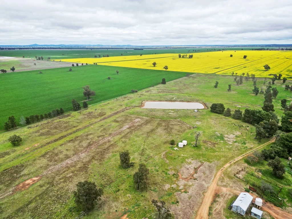 Additional image 5 of 594 Burrangong Lane, Bland NSW 2721