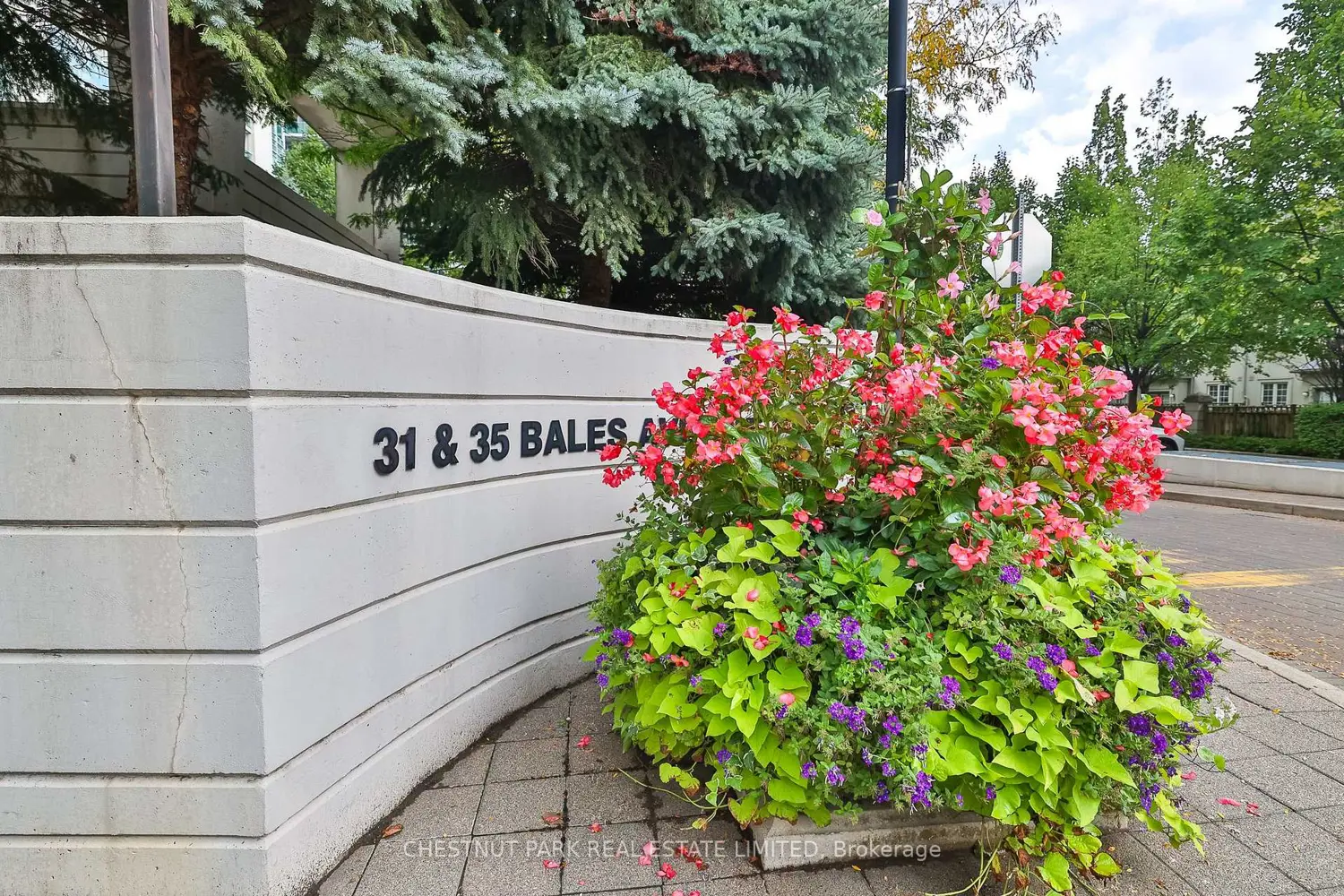 35 Bales Avenue 1901