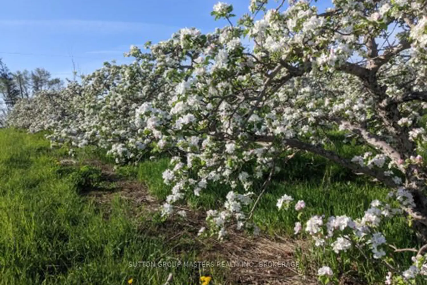 Additional image 11 of 224 Bayshore Road