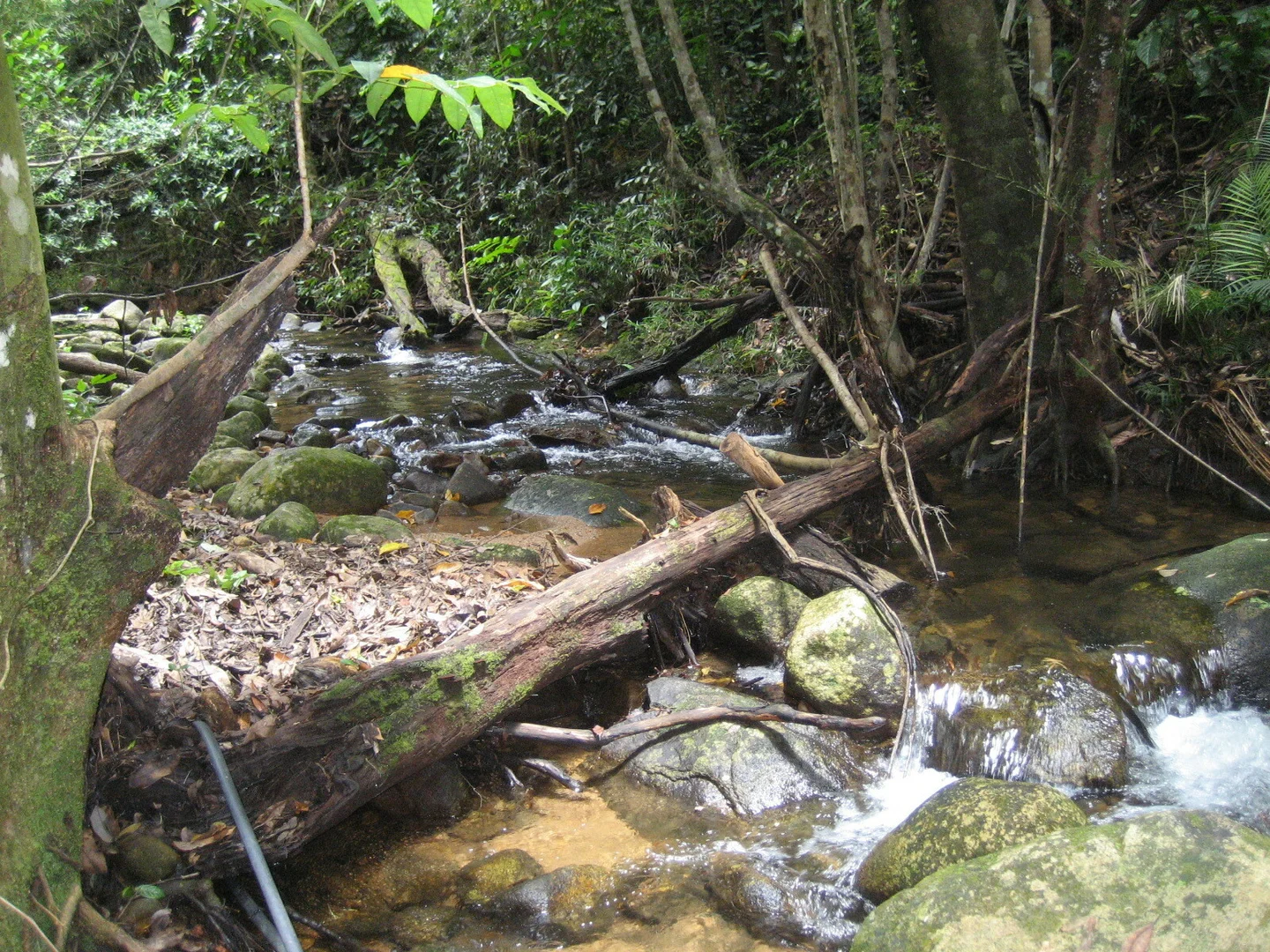 Additional image 4 of 166 Bulgun Rd, Bulgun QLD 4854