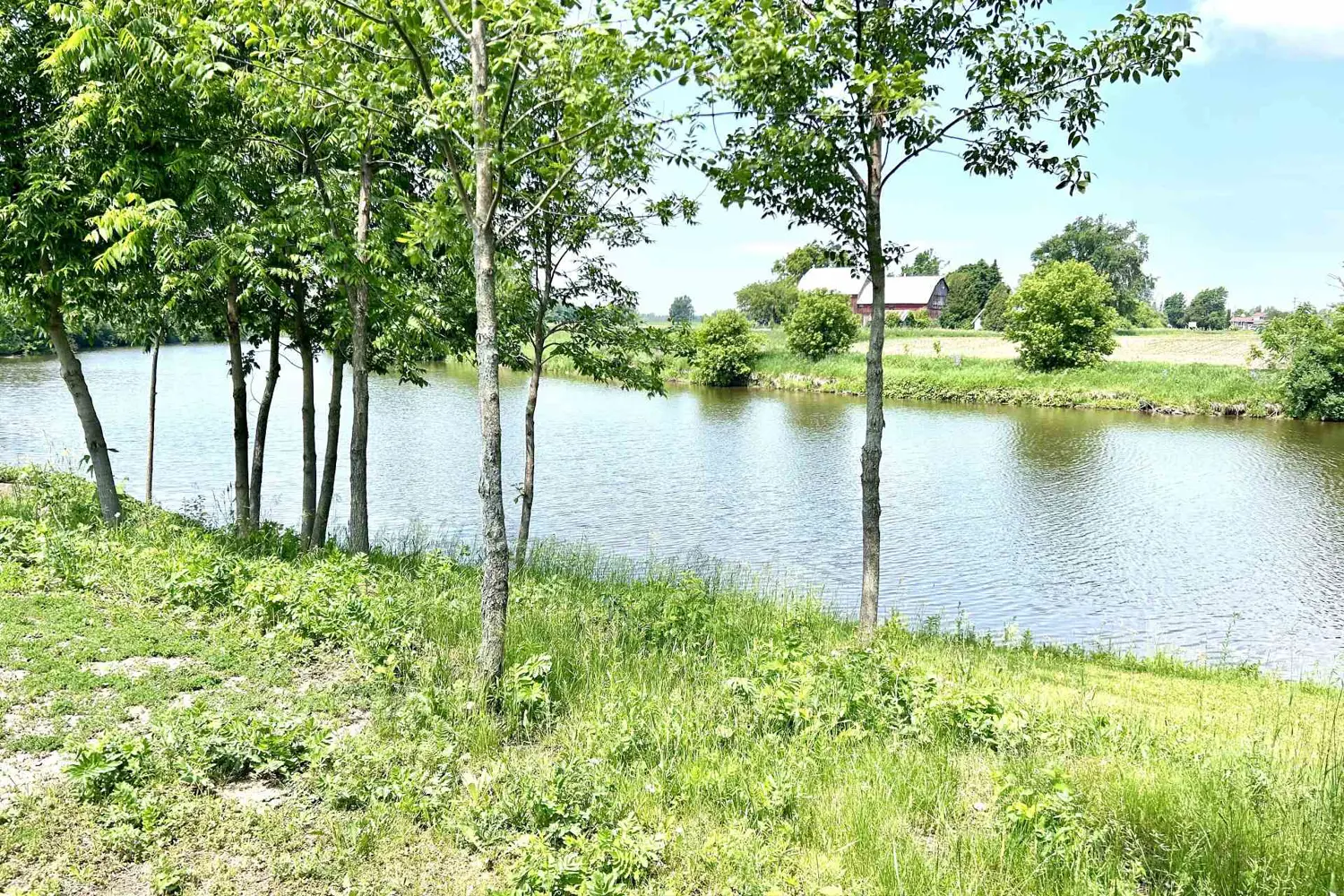 Additional image 6 of 67 Erin Avenue