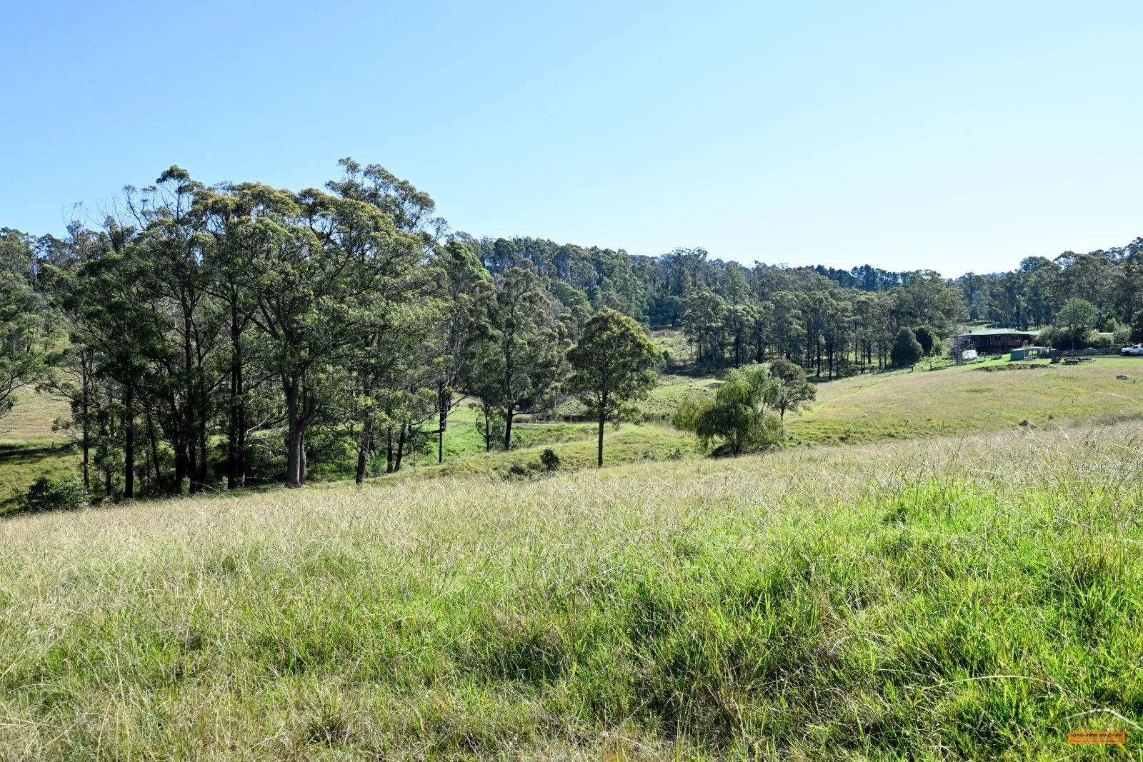 Additional image 29 of 281 Myrtle Mountain Road, Wyndham NSW 2550