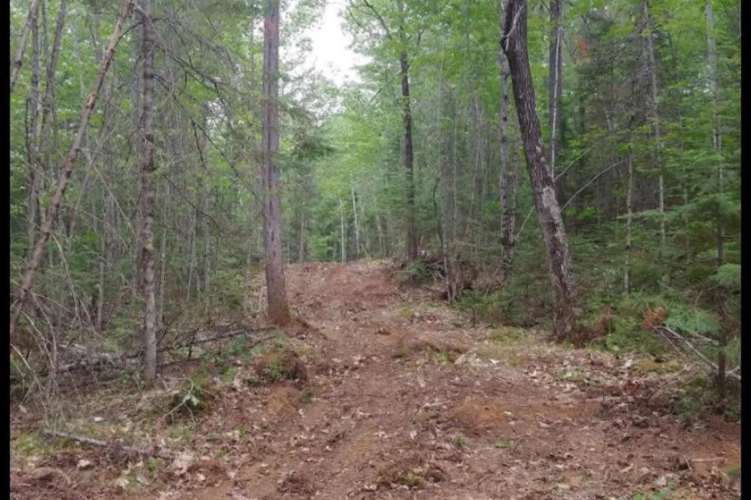 Additional image 11 of 1678 Locksley Road