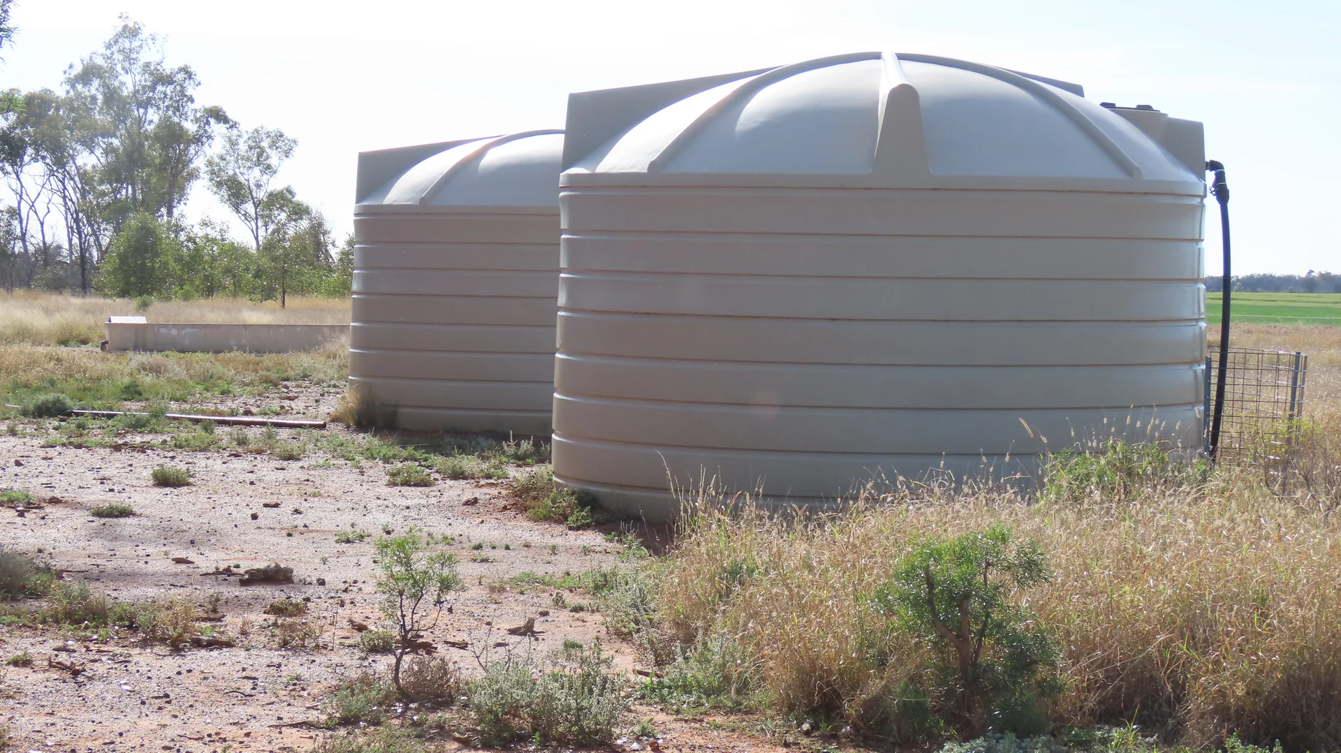 Additional image 10 of Mirreyah Feedlot Talwood Mungindi Road,, Talwood QLD 4496
