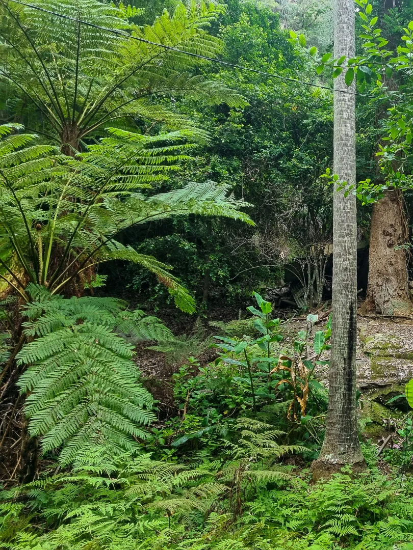 Additional image 7 of 48 Monash Avenue, Great Mackerel Beach NSW 2108