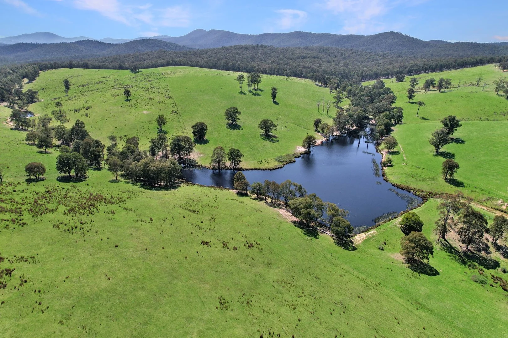 151 Wattle Hill Road, Buchan South VIC 3885