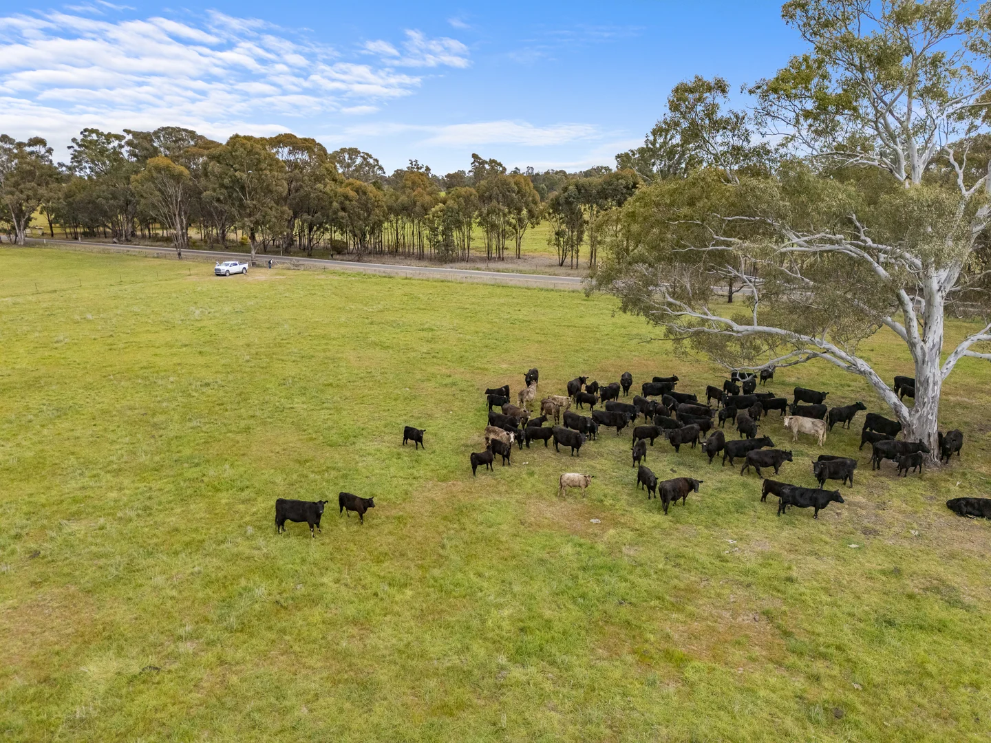 Additional image 18 of Lot 2 & Lot 1, PS 72 Basin Road, Tarnook VIC 3670